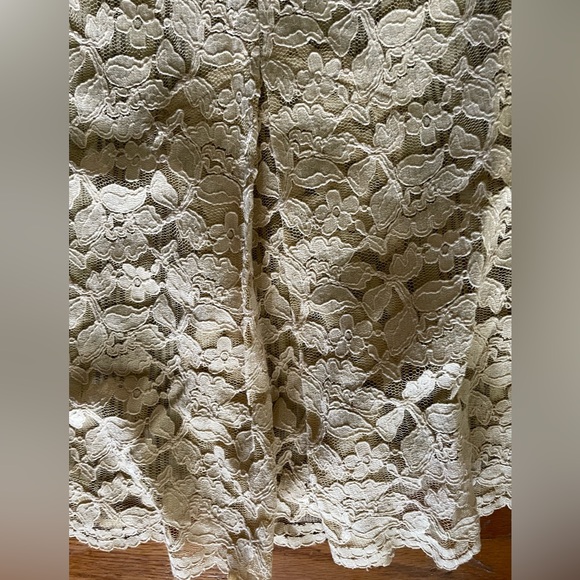 Armand Ventilo Lace Pencil Skirt - Picture 5 of 6
